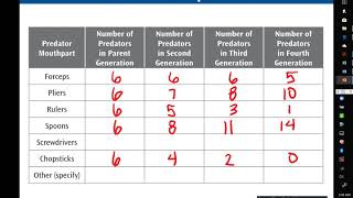 Lab 12- Natural Selection Summary