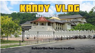 Kandy Vlog | මහනුවර ශ්‍රී දළදා මාලිගාව #viralvideo  #trending #daladamaligawa #elephant #dayvlog