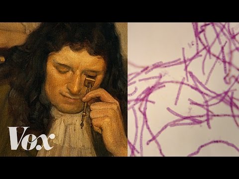 Who discovered microbes?