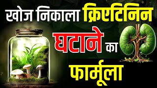 खोज निकाला क्रिएटिनिन घटाने का फार्मूला 🍯| Tips to Reduce Creatinine Level | Kidney Treatment