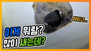 서울 제기동, PB배관 누수 // PB배관 좋다고 이젠 말 못 하겠습니다..