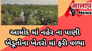 નર્મદા નહેર ના પાણી ખે ફરી વળતાં ખેડૂતો આફત માં