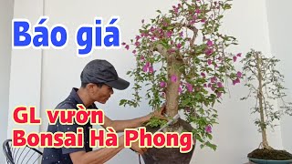 Báo giá cây cảnh đẹp giá mềm vườn bonsai Hà Phong 0988839661