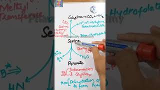 Interconversion of serine and glycine