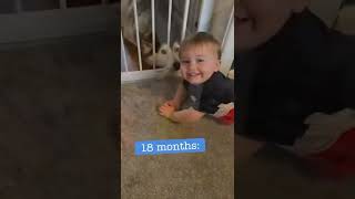 Cute Babies Playing With Dogs Compilation  Funny Baby And Pets