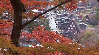 岐阜･世界遺産白川郷の紅葉真っ盛り 2024