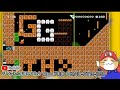 物語コース作ってみた【スーパーマリオメーカー2】おうち猫