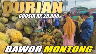 UPDATE HARGA DURIAN || GROSIR DURIAN MONTONG BAWOR HARGA TERMURAH