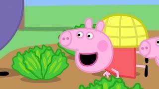 小猪佩奇 | 精选合集 | 1小时 | 小小蜗牛佩奇 🐌 粉红猪小妹|Peppa Pig Chinese |动画