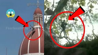 Top 5 proof of “Unknown” creatures | 5 mythical creatures caught on camera that cannot be explained