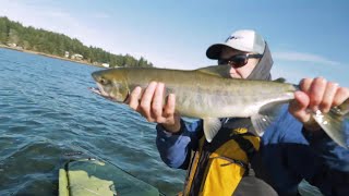 Beginners Guide To Fly Fishing Chum Salmon in Puget Sound