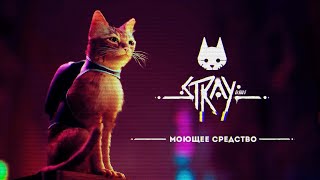 КАК НАЙТИ МОЮЩЕЕ СРЕДСТВО | Stray