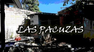 LAS PACUZAS, TEMPORADA 1, CAPITULO 3