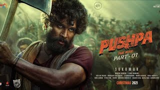 Pushpa |  The rise Allu Arjun | Movie | Offical hindi Movies