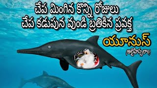 ప్రవక్త యూనుస్(అలైహిస్సలాం)జీవిత చరిత్ర ||Prophet Yunus Story In Telugu