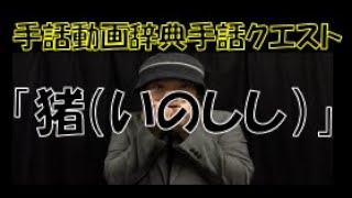 「猪（生物/動物シリーズ）」（全国手話検定４級・手話技能検定２級）【手話クエスト　レベル２４】 ※字幕なし手話動画で読み取り練習ができます