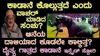 ಕಾಡಾನೆ ಕೊಲ್ಲುತ್ತದೆ ಎಂದು ವಾಚರ್ ಮಾಡಿದ ಸಂಚು?ಆನೆಯ ದಾಳಿಯಾದ ಕೂಡಲೇಕಾಲ್ಕಿತ್ತ? ದೈತ್ಯ ಕಾಡಾನೆ ಇನ್ಸೈಡ್ ಸ್ಟೋರಿ