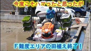 今年のＦ難度エリアの田植えがランクアップしてた・ひとめぼれ田植え終了でコシヒカリ突入・2024