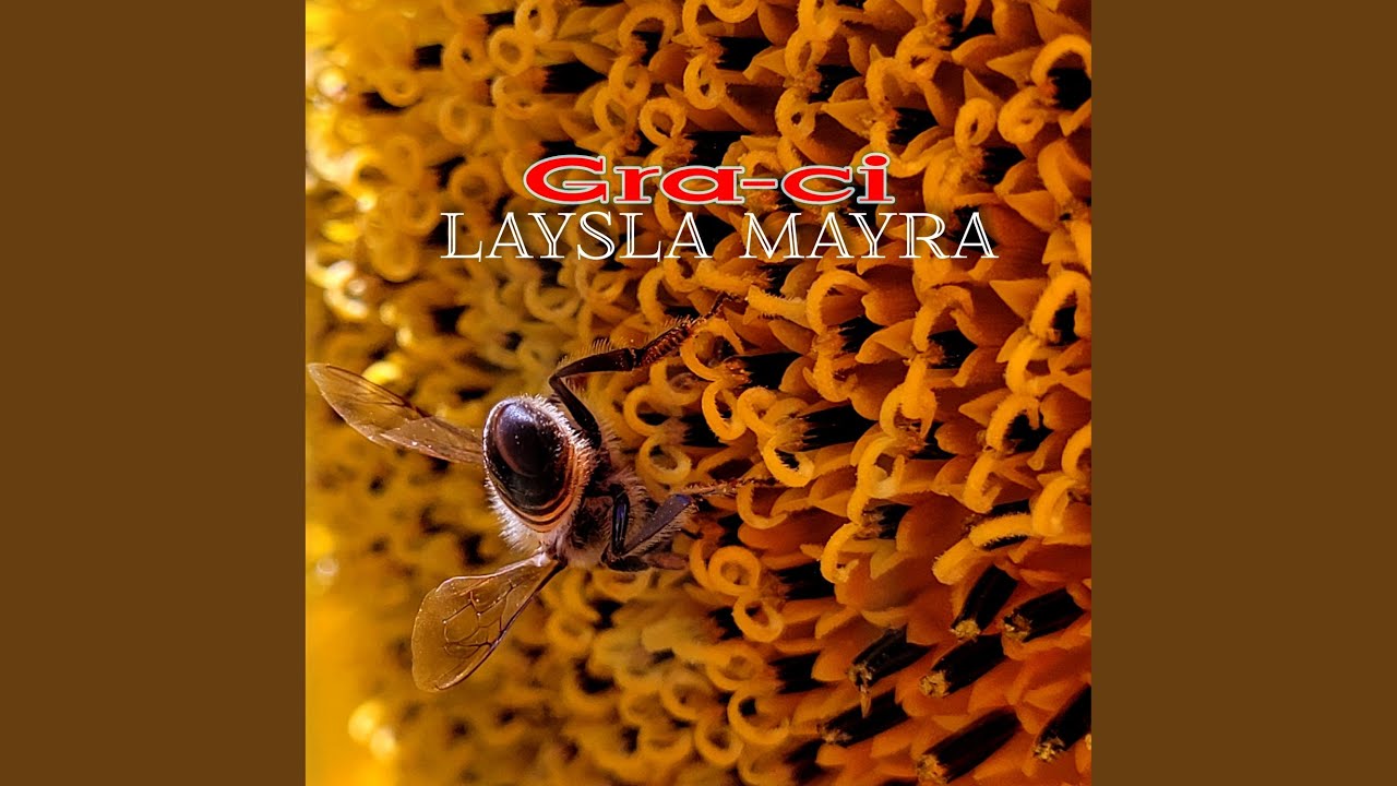 Gra Ci Youtube Music