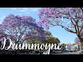 Drummoyne | Sydney | Australia | Ferry Wharf and main street walk | Jacaranda