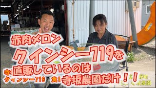 食べ頃見極め/赤肉メロン『クインシー719』食レポ/直販通販：北海道 富良野 メロン農家の寺坂農園