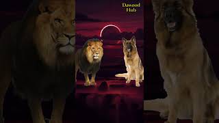 Lion Vs All Animals 2023 #animals #fight #viral