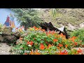 Virtual Tour - Vedic Vibes Eco Resort, Chamba (HP), India