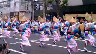 葵新連2011高円寺