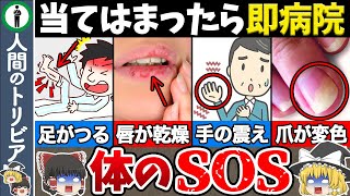 【ゆっくり解説】絶対に見逃してはいけない体の危険信号10選　　　　　　　　　　　　　【ゆっくり解説】戦争中でもたった２分で寝ることができる米軍式睡眠法　　トリビアファイル　science study