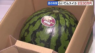 「らいでんスイカ」初競り　最高値２玉30万円　光センサーで選別した甘さで人気　札幌市中央卸売市場