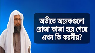 অতীতে অনেকগুলো রোজা কাজা হয়ে গেছে এখন কি করনীয়? শায়খ ডঃ মুহাম্মাদ মনজুরে এলাহী মাদানী হাফিজাহুল্লা