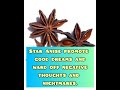 Amazing Spiritual Benefits of Star Anise