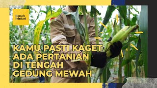 PERTANIAN DI TENGAH GEDUNG MEWAH | SMKN 63 Jakarta