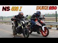 Pulsar NS400Z vs Duke 250 Drag Race 🔥🔥 | The UP46 Rider |