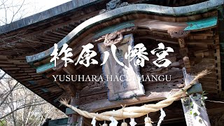 柞原八幡宮 （ 大分県 大分市 ） 4K映像 : Yusuhara Hachimangu Shrine in 4K ( Oita-shi , Oita , Japan )