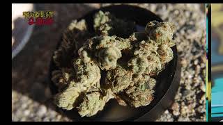 Propane Valley Connected Cannabis Review #california #toolit2quit #losangeles