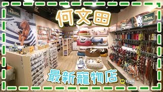 尋找何文田最新Hunter寵物用品店