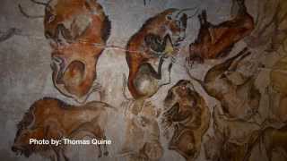 Russell Tuttle on Human Evolution: A Distinct Species