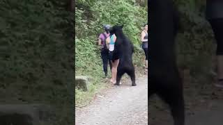 【緊張感】クマに遭遇した女性3人。じっとしてやり過ごす。