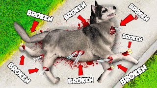 Breaking EVERY BONE As a DOG In GTA 5!
