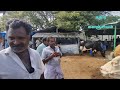 erode karugalpalayam cow market ஈரோடு கருங்கல் பாளையம் மாட்டுச்சந்தை cow cowmarket கதிர்களஞ்சியம்