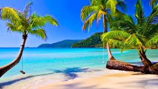 4k UHD Tropical Beach & Palm Trees on a Island, Ocean Sounds, Ocean Waves, White