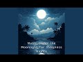 Moonlit Melancholy Medleys
