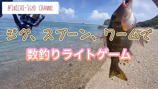 『1日1魚チャンネル』めっちゃ楽しいジグ、スプーン、ワームのライトゲーム#沖縄ルアー #沖縄ライトゲーム#沖縄