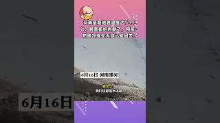 河南最高地表温度达74.1C，路面都给热裂了，网友：热胀冷缩冬天自己就回去了