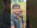 💥 இயற்கை காளான் நீங்கள் சாப்பிட்டதுண்டா நண்பா mushroom nature shorts village subscribe