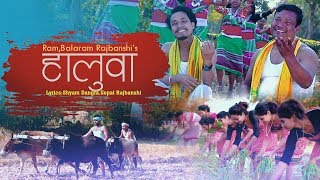 Haluwa/New Koch Rajbanshi Song 2019/Ram Rajbanshi/Balaram Rajbanshi