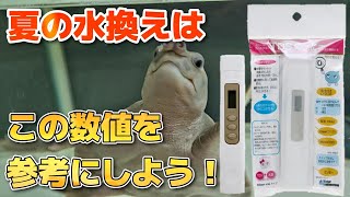 【TDSめーたー】水の汚れを数値化して、亀水槽の水換えタイミングを知ろう！TDSメーターの開封と使い方について！【スッポンモドキ】