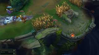 Clean Master Yi and Blitz Bait