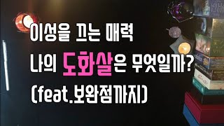 [타로카드/연애운]이성을 끄는 나의 도화살은 무엇일까? (feat.보완점까지)